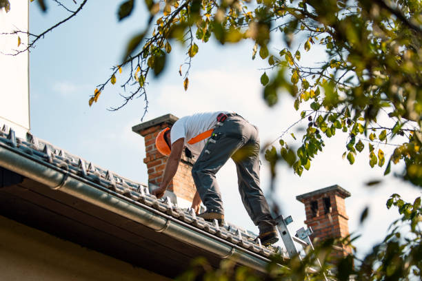 Best Tile Roofing Contractor  in North Branch, MI