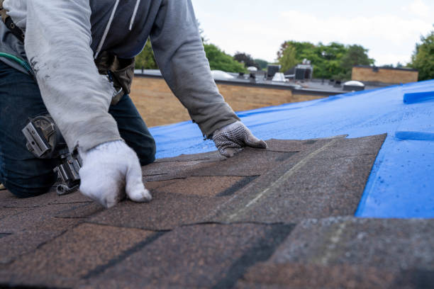 Best Sealant for Roof  in North Branch, MI