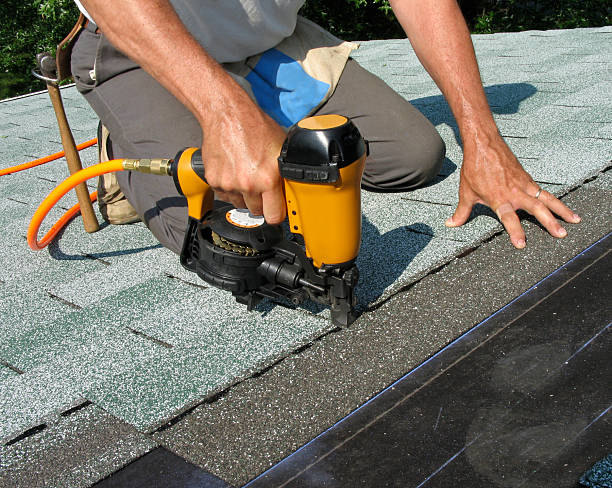 Best Commercial Roofing Services  in North Branch, MI