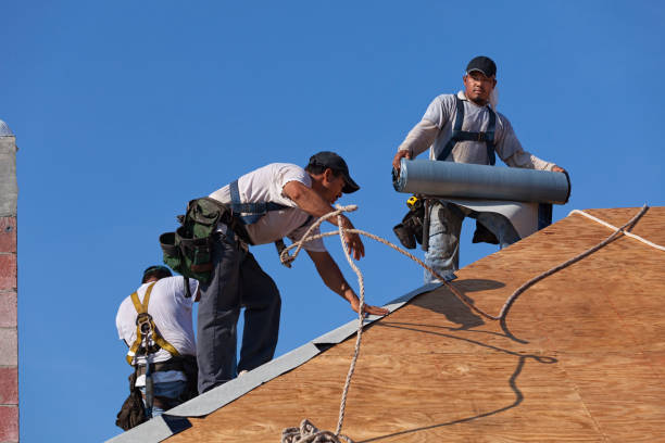 Best Best Roofing Contractors  in North Branch, MI