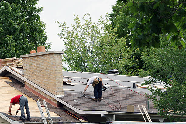 Quick and Trustworthy Emergency Roof Repair Services in North Branch, MI