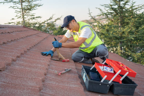 Best Flat Roof Repair Services  in North Branch, MI