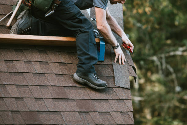 Quick and Trustworthy Emergency Roof Repair Services in North Branch, MI