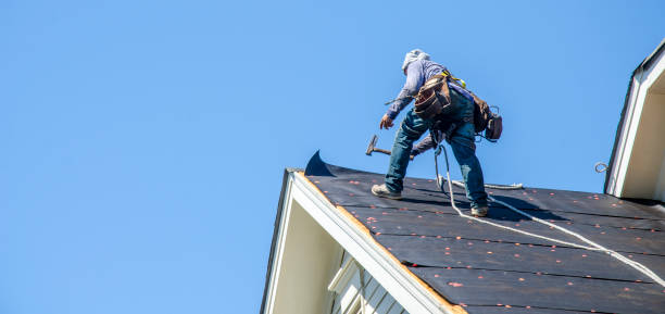 Roof Repair Estimates in North Branch, MI